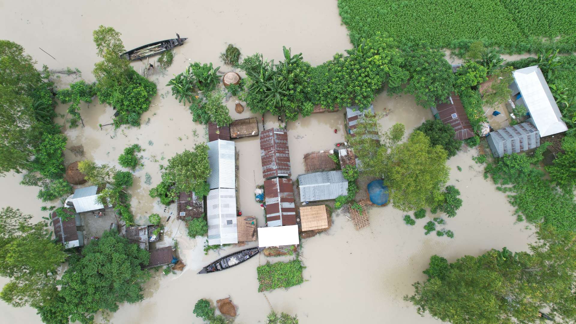 Bangladesh Flood Relief